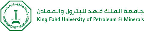 Digital innovation partner logo