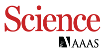 Professional services partner logo